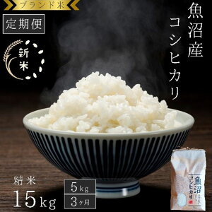 yӂ邳Ɣ[ŁzyցF5kg×3zuh YRVqJ  R     Ђ VY lC 񂹁@͂F񕍓̗蔭