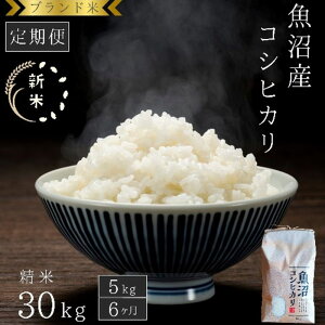 yӂ邳Ɣ[ŁzyցF5kg×6zuh YRVqJ  R     Ђ VY lC 񂹁@͂F񕍓̗蔭