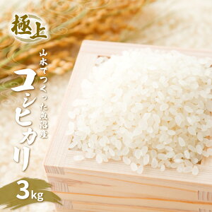 yӂ邳Ɣ[Łzߘa6NYyɏzRłYRVqJiāj3kg s   uh 
