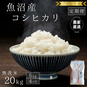 yӂ邳Ɣ[ŁzyցF5kg×4zuh YRVqJ  Ђ V @͂F񕍓̗蔭