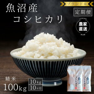 yӂ邳Ɣ[ŁzyցF10kg×10zuh YRVqJ  Ђ V @͂F񕍓̗蔭