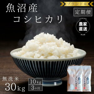 yӂ邳Ɣ[ŁzyցF10kg×3zuh YRVqJ  Ђ V @͂F񕍓̗蔭