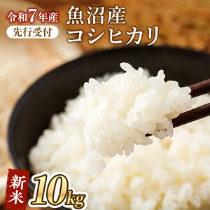 yӂ邳Ɣ[Łzyߘa7NY VĐstzYRVqJiāj10kg@   Ђ  V s @͂F2025N10{珇܂B