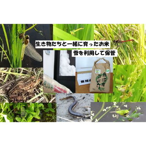 yӂ邳Ɣ[Łzyuhz5kg 3A͂yL@͔|EԌnۑSEĐ\GlM[EGRt@[}[EYHǗzYRVqJ