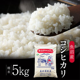 【ふるさと納税】令和7年産 真砂屋厳選 魚沼産コシヒカリ（精米）5kg お米 コメ こしひかり 新潟県 魚沼市 魚沼　お届け：寄附入金確認後、随時発送