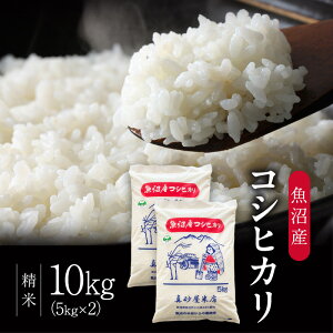 yӂ邳Ɣ[Łzߘa7NY ^I YRVqJiāj10kg  R Ђ V s @͂F񕍓mFA