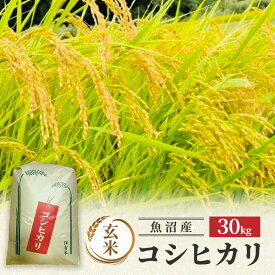 【ふるさと納税】【令和7年産】魚沼産コシヒカリ(玄米)30kg 米 コメ こしひかり ブランド米 お取り寄せ 魚沼市　お届け：寄附入金確認後、順次発送
