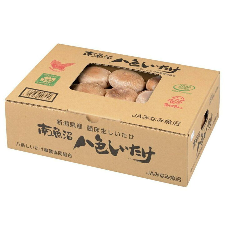 楽天市場】【ふるさと納税】厚いにもほどがある「八色しいたけ」 | 菌床 きのこ 茸 料理 調理 ご飯 ごはん お取り寄せ グルメ 人気 おすすめ 国産 新潟県 南魚沼市 : 新潟県南魚沼市 楽天市場】【ふるさと納税】厚いにもほどがある「八色しいたけ」 | 菌床 きのこ 茸 料理 調理 ご飯 ごはん お取り寄せ グルメ 人気 おすすめ 国産 新潟県 南魚沼市 : 新潟県南魚沼市