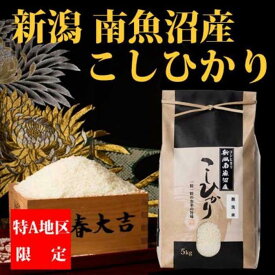 【ふるさと納税】米 無洗米 コシヒカリ 南魚沼産 5kg | お米 こめ 白米 コシヒカリ 食品 人気 おすすめ 送料無料 魚沼 南魚沼 南魚沼市 新潟県産 新潟県 精米 産直 産地直送 お取り寄せ