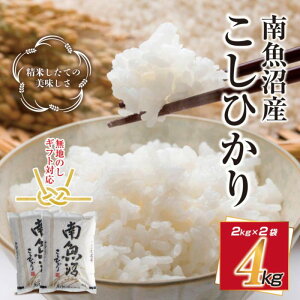 �y�ӂ邳�Ɣ[�Łz���n���l �V���� �싛���Y �R�V�q�J�� �����Ђ��� ���� 2kg ×2�� �v4kg ���� ���� �� �������K�C�h�t�� ������ ���Ε� gift �M�t�g �v���[���g | ���� ���� ���� �R�V�q�J�� �H�i