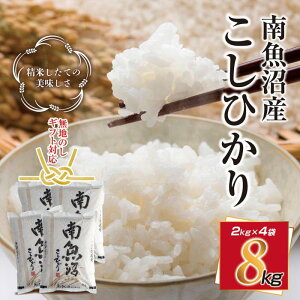 �y�ӂ邳�Ɣ[�Łz���n���l �V���� �싛���Y �R�V�q�J�� �����Ђ��� ���� 2kg ×4�� �v8kg ���� ���� �� �������K�C�h�t�� ������ ���Ε� gift �M�t�g �v���[���g | ���� ���� ���� �R�V�q�J�� �H�i