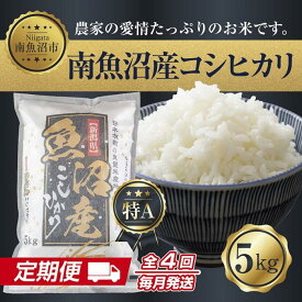 【ふるさと納税】【定期便】新潟県 南魚沼産 コシヒカリ お米 5kg 計4回 精米 魚沼 米 こしひかり 送料無料 毎月発送 炊き方ガイド付き