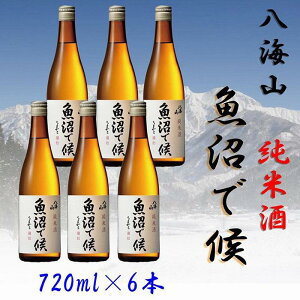 yӂ邳Ɣ[Łz { Zbg 6{ × 720ml ( CR Ď Ō )  |   lC   Mtg
