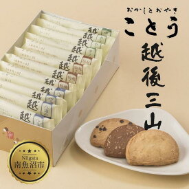 【ふるさと納税】越後三山 山のクッキー 各4枚 計12個 クッキー チョコチップ ココア 和菓子 洋菓子 お菓子 菓子 焼き菓子 セット 菓子詰合せ 詰め合わせ スイーツ ギフト おかしとおやき ことう 新潟県 南魚沼市