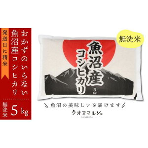 【ふるさと納税】【令和7年産新米】おかずのいらない 魚沼産コシヒカリ 無洗米5kg 令和7年産 | お米 こめ 白米 コシヒカリ 食品 人気 おすすめ 送料無料 魚沼 南魚沼 南魚沼市 新潟県産 新潟