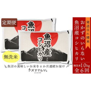 【ふるさと納税】【令和7年産新米】【お米定期便/全6回】 おかずのいらない 魚沼産コシヒカリ 無洗米10kg | お米 こめ 白米 コシヒカリ 食品 人気 おすすめ 送料無料 魚沼 南魚沼 南魚沼市