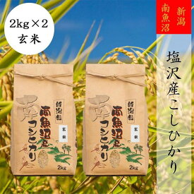 【ふるさと納税】米 玄米 コシヒカリ 南魚沼 塩沢産 4kg ( 2kg × 2袋 ) 高級 | お米 こめ 食品 人気 おすすめ 送料無料 魚沼 南魚沼 南魚沼市 新潟県 精米 産直 産地直送 お取り寄せ