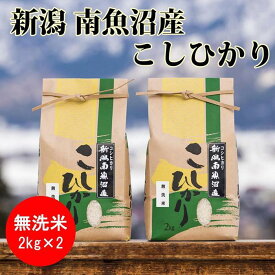 【ふるさと納税】米 無洗米 コシヒカリ 南魚沼産 4kg ( 2kg × 2袋 ) | お米 こめ 白米 コシヒカリ 食品 人気 おすすめ 送料無料 魚沼 南魚沼 南魚沼市 新潟県産 新潟県 精米 産直 産地直送 お取り寄せ