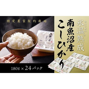 yӂ邳Ɣ[ŁzXn pbN  24pbN 180g  Ђ V 싛 Y 싛Y pbN͂ gg |    RVqJ Hi lC   
