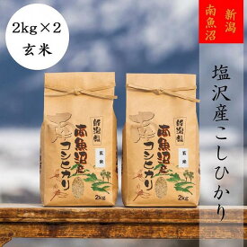 【ふるさと納税】米 定期便 玄米 コシヒカリ 南魚沼 塩沢産 48kg ( 4kg × 12ヶ月 ) | お米 こめ 食品 人気 おすすめ 送料無料 魚沼 南魚沼 南魚沼市 新潟県 精米 産直 産地直送 お取り寄せ お楽しみ