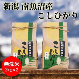 【ふるさと納税】米 定期便 無洗米 コシヒカリ 南魚沼産 24kg ( 4kg × 6ヶ月 ) | お米 こめ 白米 食品 人気 おすすめ 送料無料 魚沼 南魚沼 南魚沼市 新潟県 精米 産直 産地直送 お取り寄せ お楽しみ