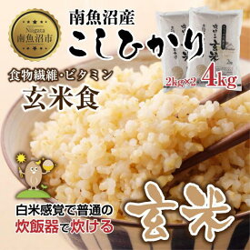 【ふるさと納税】南魚沼産 コシヒカリ 普通に炊ける 玄米 2kg×2袋 計4kg こしひかり 新潟県 米 玄米食 コメ こめ