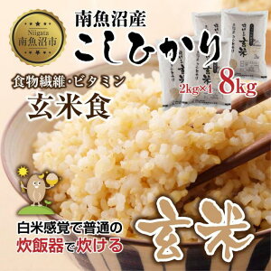 �y�ӂ邳�Ɣ[�Łz�싛���Y �R�V�q�J�� ���ʂɐ����� ���� 2kg×4�� �v8kg �����Ђ��� �V���� �� ���ĐH �R�� ���� | ���� ���� �H�i �R�V�q�J�� �l�C �������� �������� ���� �싛�� �싛���s �V