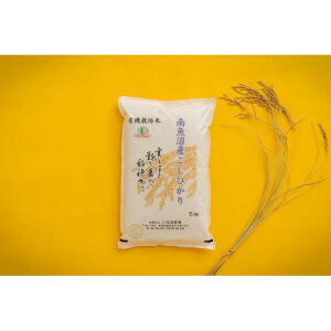 yӂ邳Ɣ[Łzyߘa6NYz L@JASFāu싛YRVqJv5kg L@͔|āyV Anz |    RVqJ Hi lC    싛 싛s 