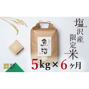 yӂ邳Ɣ[Łzyߘa7NYVė\z  30kg ( 5kg × 6 )  n Ђ V 싛 Y 싛Y āy2025N9{菇\z |    