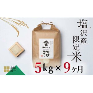 yӂ邳Ɣ[Łzyߘa7NYVė\z  45kg ( 5kg × 9 )  n Ђ V 싛 Y 싛Y āy2025N9{菇\z |    