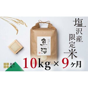 yӂ邳Ɣ[Łzyߘa7NYVė\z  90kg ( 10kg × 9 )  n Ђ V 싛 Y 싛Y āy2025N9{菇\z |    