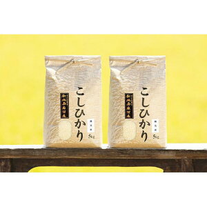 yӂ邳Ɣ[Łzyߘa7NY Vė\z   RVqJ 싛Y 120kg ( 10kg × 12 ) yߘa7N11{菇\z |    RVqJ Hi lC  