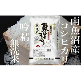 【ふるさと納税】米 定期便 無洗米 コシヒカリ 南魚沼産 48kg ( 4kg × 12ヶ月 ) 吟精 | お米 こめ 白米 食品 人気 おすすめ 送料無料 魚沼 南魚沼 南魚沼市 新潟県 精米 産直 産地直送 お取り寄せ お楽しみ