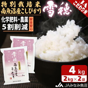 yӂ邳Ɣ[Łzyߘa7NY_Vā^z 싛Y RVqJ 4kg ( 2kg × 2 ) ʍ͔|  |    Hi lC    싛 싛s V  Y Yn
