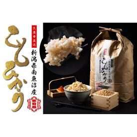 【ふるさと納税】【令和7年産】【玄米】自然農法/化学肥料不使用の南魚沼産こしひかり10kg【銘柄米 魚沼産 こしひかり コシヒカリ 玄米 特A 新潟米 高評価米 甘み 粘り米 香り米 国産米 産地米 食味良 米通販 家庭米 朝ご飯米 保存良米 主食米 和食米 米屋厳選】