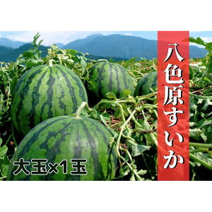 �y�ӂ邳�Ɣ[�Łz��s�\��y�V�����싛���Y�z���F���X�C�J ���1�ʁy2026�N7�����{�����z�y���͂������w��s�z | �t���[�c �ʕ� �������� �H�i �l�C �������� ��������