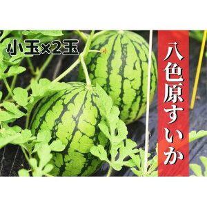 �y�ӂ邳�Ɣ[�Łz��s�\��y�V�����싛���Y�z���F���X�C�J ����2�ʁy2026�N7�����{�����z�y���͂������w��s�z | �t���[�c �ʕ� �������� �H�i �l�C �������� ��������