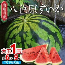 【ふるさと納税】【新潟県 南魚沼産】八色原すいか大玉1玉 | フルーツ 果物 くだもの 食品 人気 おすすめ 送料無料