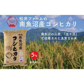 【ふるさと納税】【令和8年産新米予約】【定期便】南魚沼産コシヒカリ（5kg×12回)【2026年10月上旬より1ヶ月以内に順次発送予定】 | お米 こめ 白米 コシヒカリ 食品 人気 おすすめ 送料無料 魚沼 南魚沼 南魚沼市 新潟県産 新潟県 精米 産直 産地直送 お取り寄せ