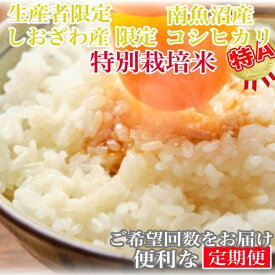 【ふるさと納税】【令和7年産】【定期便10kg×6ヶ月】特別栽培 しおざわ産限定 生産者限定 南魚沼産コシヒカリ【2025年10月上旬より順次発送予定】 | お米 こめ 白米 コシヒカリ 食品 人気 おすすめ 送料無料 魚沼 南魚沼 南魚沼市 新潟県産 新潟県