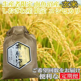 【ふるさと納税】【定期便4kg×12ヶ月】玄米 しおざわ産限定 生産者限定 南魚沼産コシヒカリ | お米 こめ 食品 コシヒカリ 人気 おすすめ 送料無料 魚沼 南魚沼 南魚沼市 新潟県 玄米 産直 産地直送 お取り寄せ お楽しみ