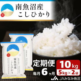 【ふるさと納税】米 定期便 南魚沼産 コシヒカリ 60kg ( 10kg × 6ヵ月 ) | お米 こめ 白米 食品 人気 おすすめ 送料無料 魚沼 南魚沼 南魚沼市 新潟県 精米 産直 産地直送 お取り寄せ お楽しみ