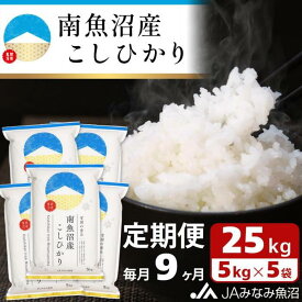 【ふるさと納税】米 定期便 南魚沼産 コシヒカリ 225kg ( 25kg × 9ヵ月 ) | お米 こめ 白米 食品 人気 おすすめ 送料無料 魚沼 南魚沼 南魚沼市 新潟県 精米 産直 産地直送 お取り寄せ お楽しみ