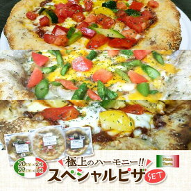 【ふるさと納税】極上のハーモニー!!スペシャルピザセット