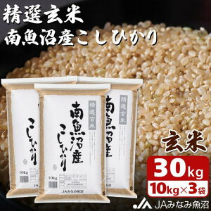 yӂ邳Ɣ[Łzyߘa7NY_Vā^z  싛Y RVqJ 30kg ( 10kg × 3 ) |   Hi lC    싛 싛s V  Y Yn 