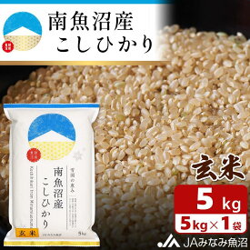 【ふるさと納税】【令和7年産】南魚沼産こしひかり 玄米 5kg 特A獲得日本一産地 精選玄米 雪国の恵み もっちり甘い 南魚沼産コシヒカリ | お米 こめ 食品 人気 おすすめ 送料無料 魚沼 南魚沼 南魚沼市 新潟県 精米 産直 産地直送 お取り寄せ