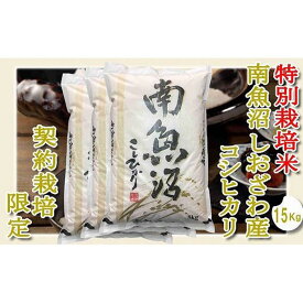 【ふるさと納税】【令和7年産】【精米15Kg】特別栽培 生産者限定 南魚沼しおざわ産コシヒカリ【2025年10月上旬より順次発送予定】 | お米 こめ 白米 コシヒカリ 食品 人気 おすすめ 送料無料 魚沼 南魚沼 南魚沼市 新潟県産 新潟県
