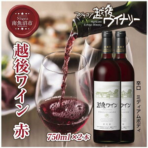 yӂ邳Ɣ[ŁzzハC  750ml 2{Zbg AORA zハCi[ VY Ԃǂ100%gp h ~fBA{fB AR[12% YC C  V 싛s | 