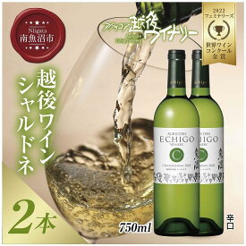 【ふるさと納税】越後ワイン シャルドネ 白 750ml 2本セット アグリコア 越後ワイナリー 南魚沼市産シャルドネ種使用 辛口 白ワイン 度数12% 国産ワイン 魚沼ワイン わいん 送料無料 新潟県 南魚沼市 | お酒 さけ 人気 おすすめ 送料無料 ギフト