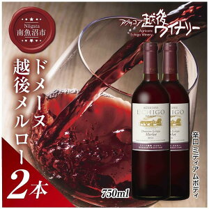yӂ邳Ɣ[Łzh[kEzチ[  750ml 2{Zbg AORA zハCi[ 싛sY[ h ~fBA{fB AR[x12% C Y  V 